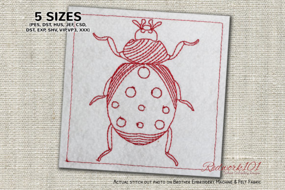 Charming Spoted Coccinellidae Lineart for Gifts