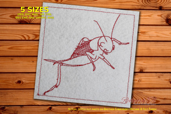 Cricket: A Charming Addition to Your Seasonal Collection