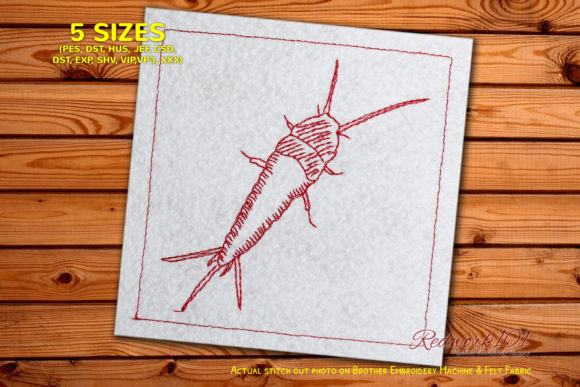 Exploring Common Apterygota: A Unique Embroidery Design